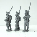 Baden Infantry in Shako - Elite Company